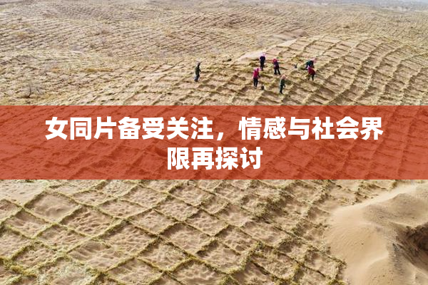 女同片备受关注，情感与社会界限再探讨