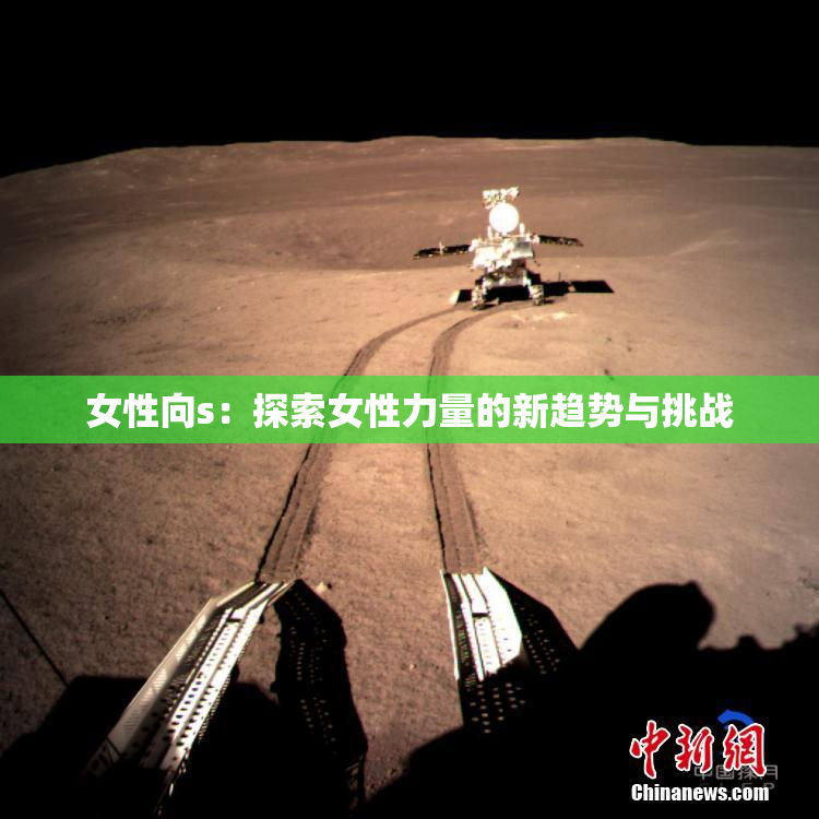 女性向s：探索女性力量的新趋势与挑战