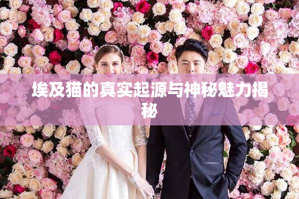 埃及猫的真实起源与神秘魅力揭秘