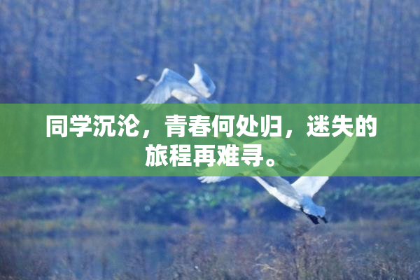 同学沉沦，青春何处归，迷失的旅程再难寻。
