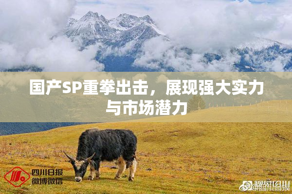 国产SP重拳出击，展现强大实力与市场潜力