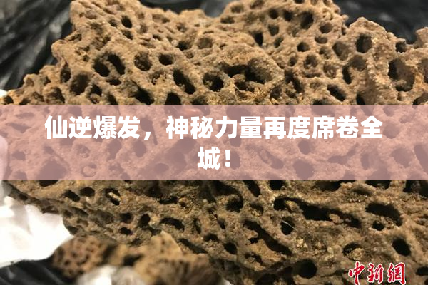 仙逆爆发，神秘力量再度席卷全城！