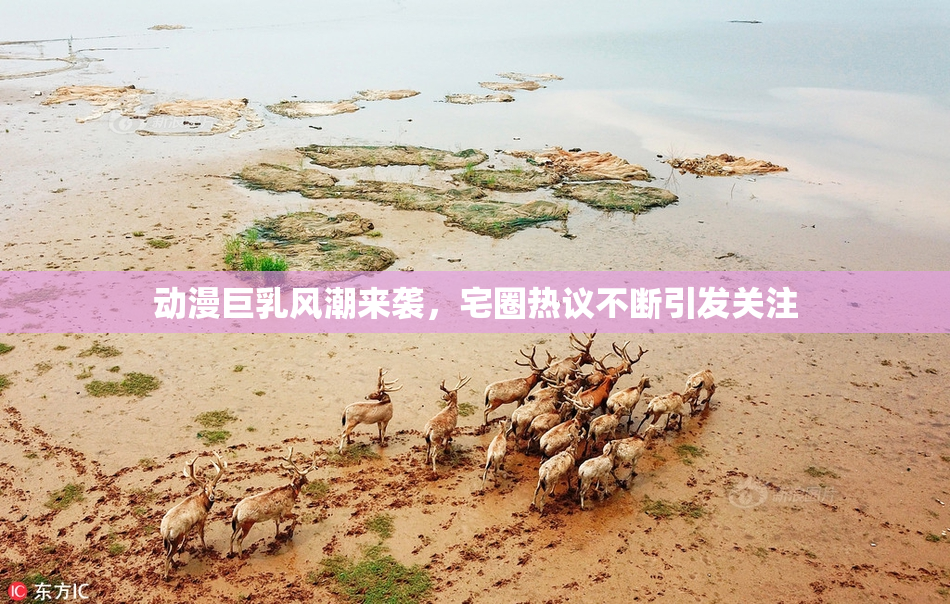 动漫巨乳风潮来袭，宅圈热议不断引发关注