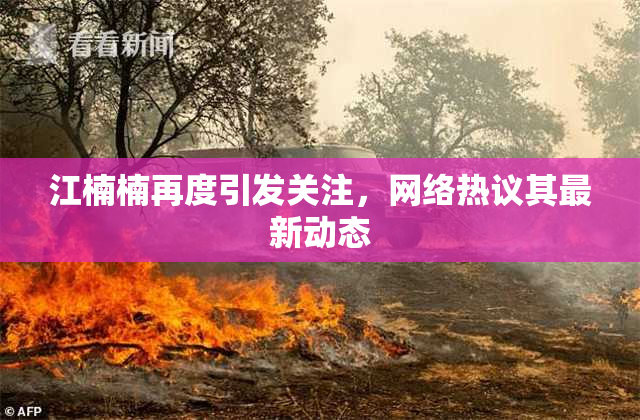 江楠楠再度引发关注，网络热议其最新动态