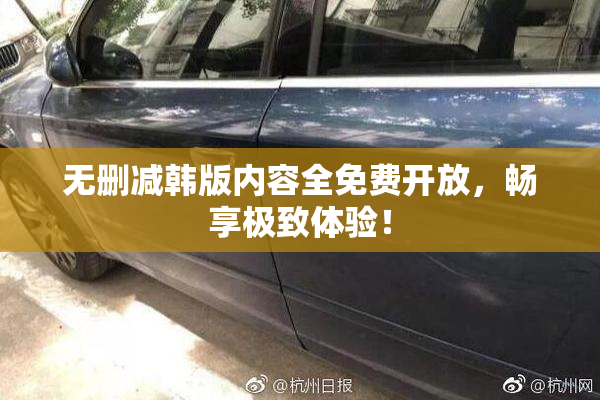 无删减韩版内容全免费开放，畅享极致体验！