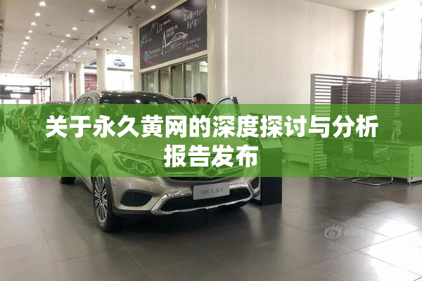 关于永久黄网的深度探讨与分析报告发布