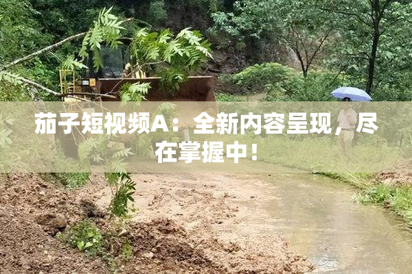 茄子短视频A：全新内容呈现，尽在掌握中！