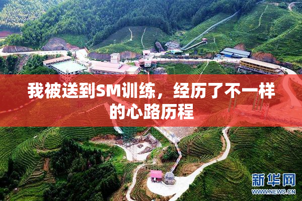 我被送到SM训练，经历了不一样的心路历程