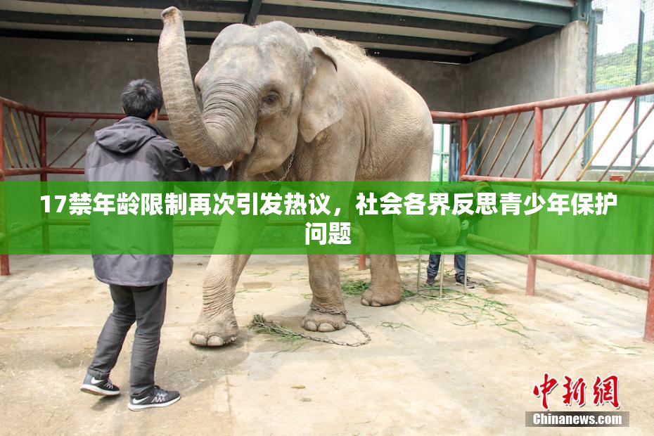 17禁年龄限制再次引发热议，社会各界反思青少年保护问题