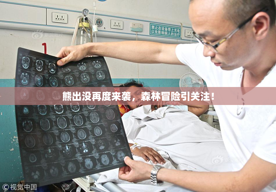 熊出没再度来袭，森林冒险引关注！
