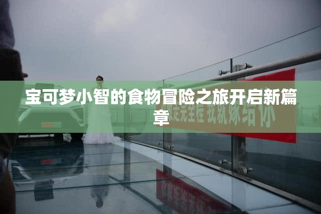 宝可梦小智的食物冒险之旅开启新篇章