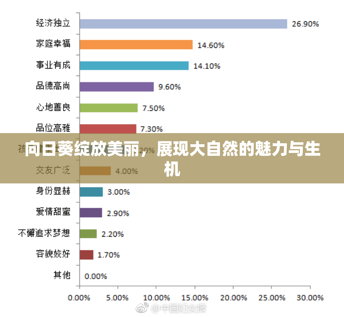 向日葵绽放美丽，展现大自然的魅力与生机