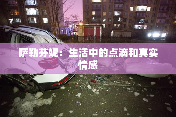 萨勒芬妮：生活中的点滴和真实情感