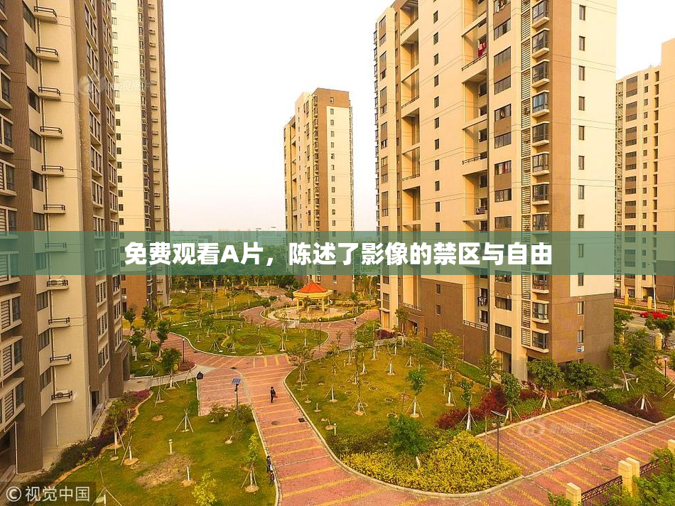 免费观看A片，陈述了影像的禁区与自由