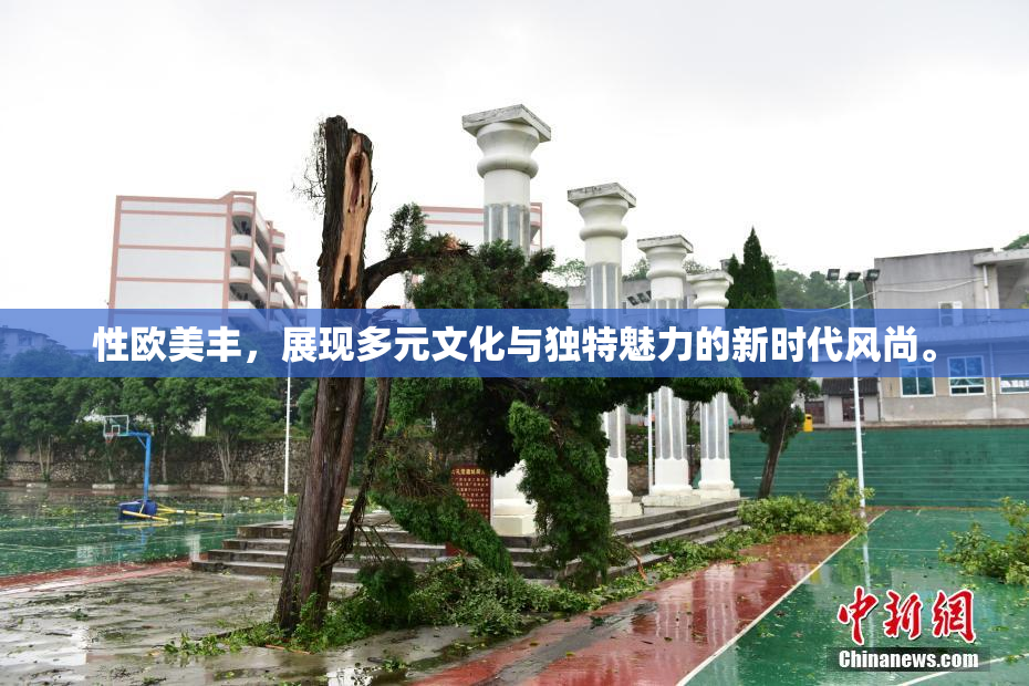 性欧美丰，展现多元文化与独特魅力的新时代风尚。