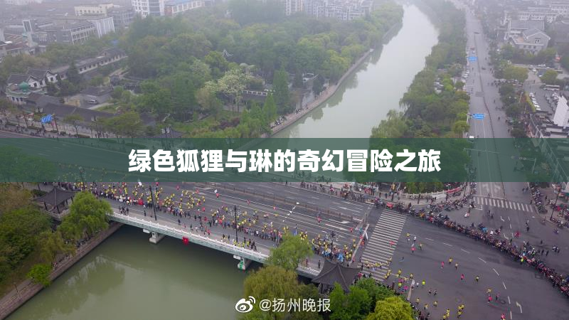 绿色狐狸与琳的奇幻冒险之旅