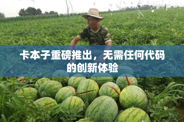 卡本子重磅推出，无需任何代码的创新体验