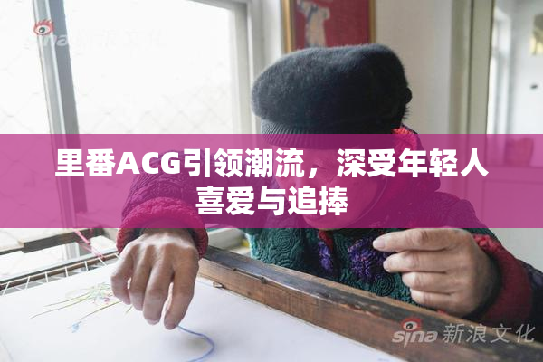 里番ACG引领潮流，深受年轻人喜爱与追捧