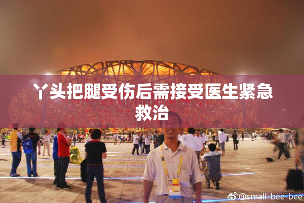 丫头把腿受伤后需接受医生紧急救治