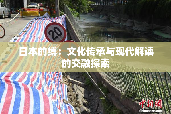 日本的缚：文化传承与现代解读的交融探索