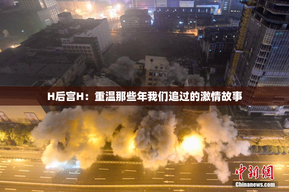 H后宫H：重温那些年我们追过的激情故事