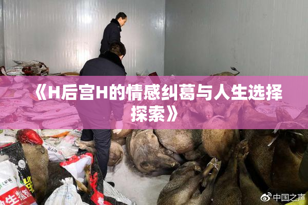 《H后宫H的情感纠葛与人生选择探索》