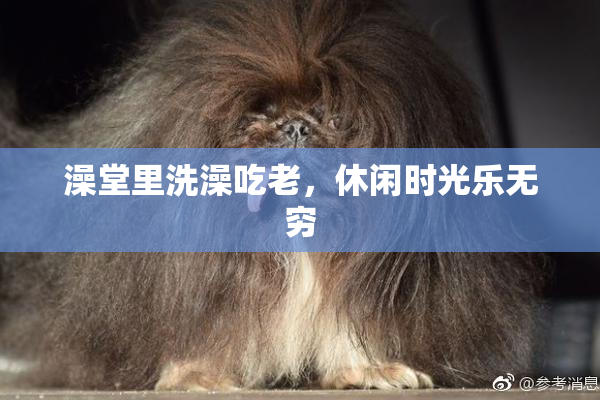 澡堂里洗澡吃老，休闲时光乐无穷