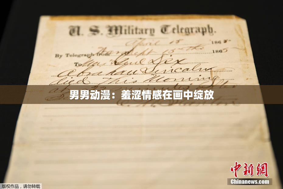 男男动漫：羞涩情感在画中绽放