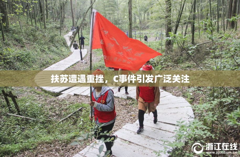 扶苏遭遇重挫，C事件引发广泛关注