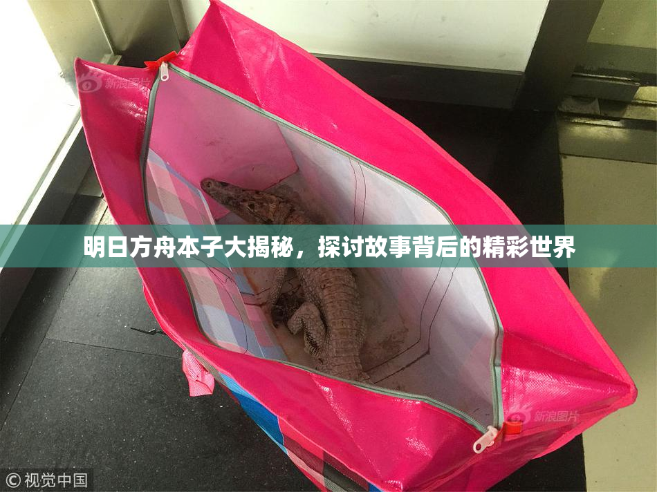 明日方舟本子大揭秘，探讨故事背后的精彩世界