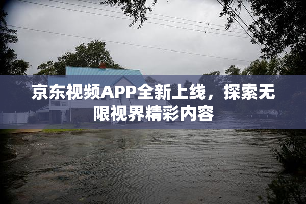 京东视频APP全新上线，探索无限视界精彩内容