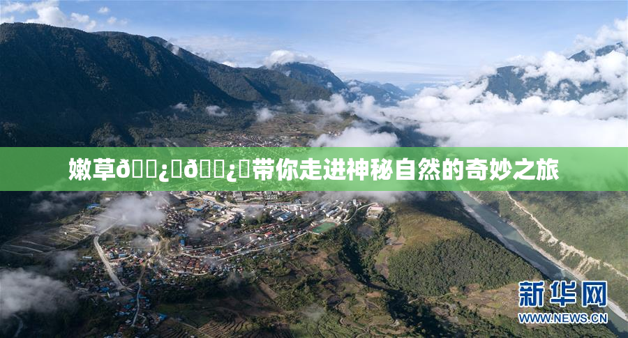 嫩草🌿‌🌿‌带你走进神秘自然的奇妙之旅
