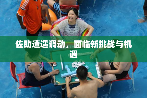 佐助遭遇调动，面临新挑战与机遇