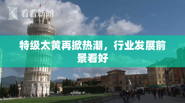 特级太黄再掀热潮，行业发展前景看好