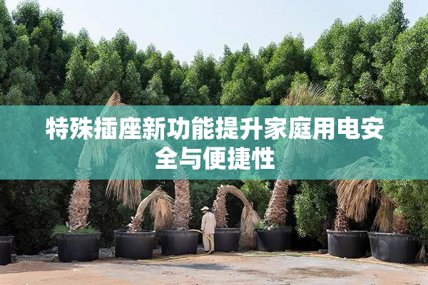 特殊插座新功能提升家庭用电安全与便捷性