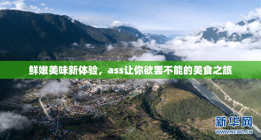 鲜嫩美味新体验，ass让你欲罢不能的美食之旅