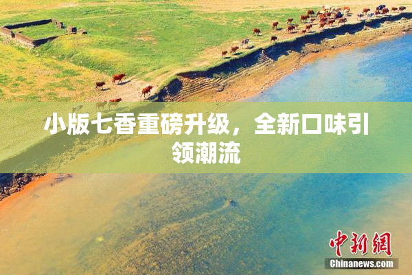 小版七香重磅升级，全新口味引领潮流