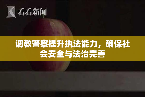 调教警察提升执法能力，确保社会安全与法治完善