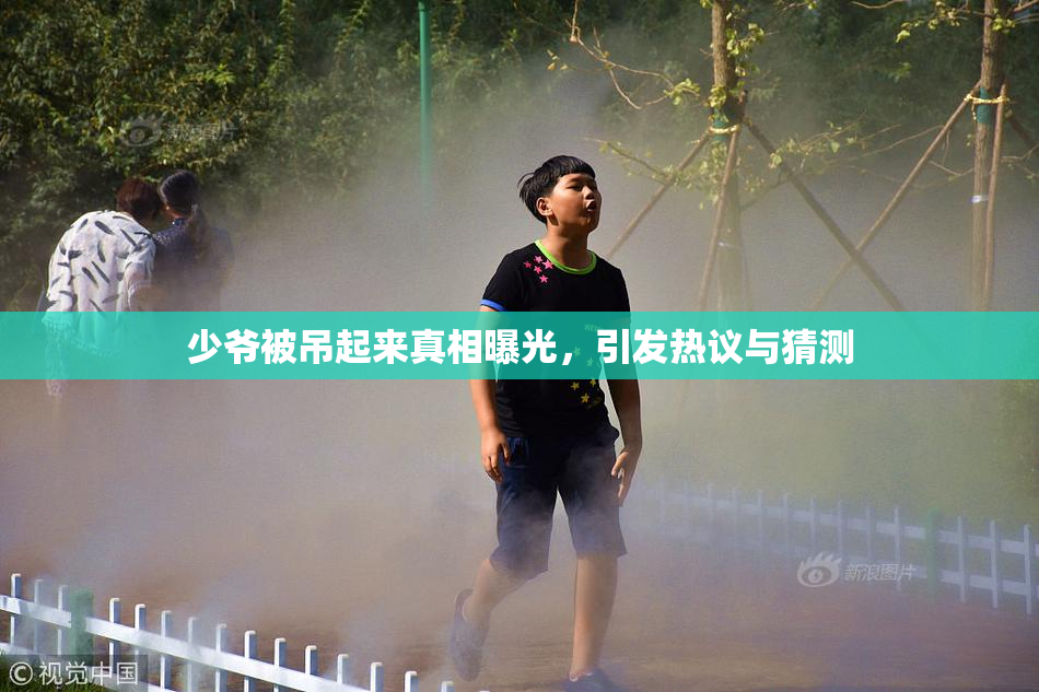 少爷被吊起来真相曝光，引发热议与猜测