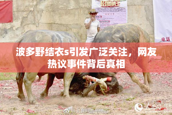 波多野结衣s引发广泛关注，网友热议事件背后真相