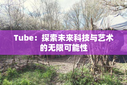 Tube：探索未来科技与艺术的无限可能性