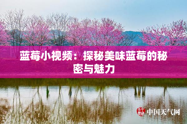 蓝莓小视频：探秘美味蓝莓的秘密与魅力