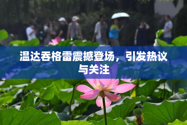 温达吞格雷震撼登场，引发热议与关注