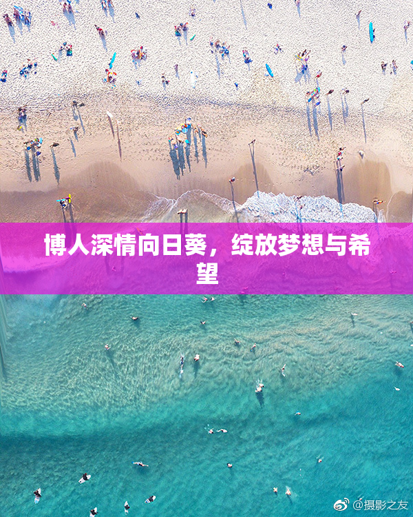 博人深情向日葵，绽放梦想与希望