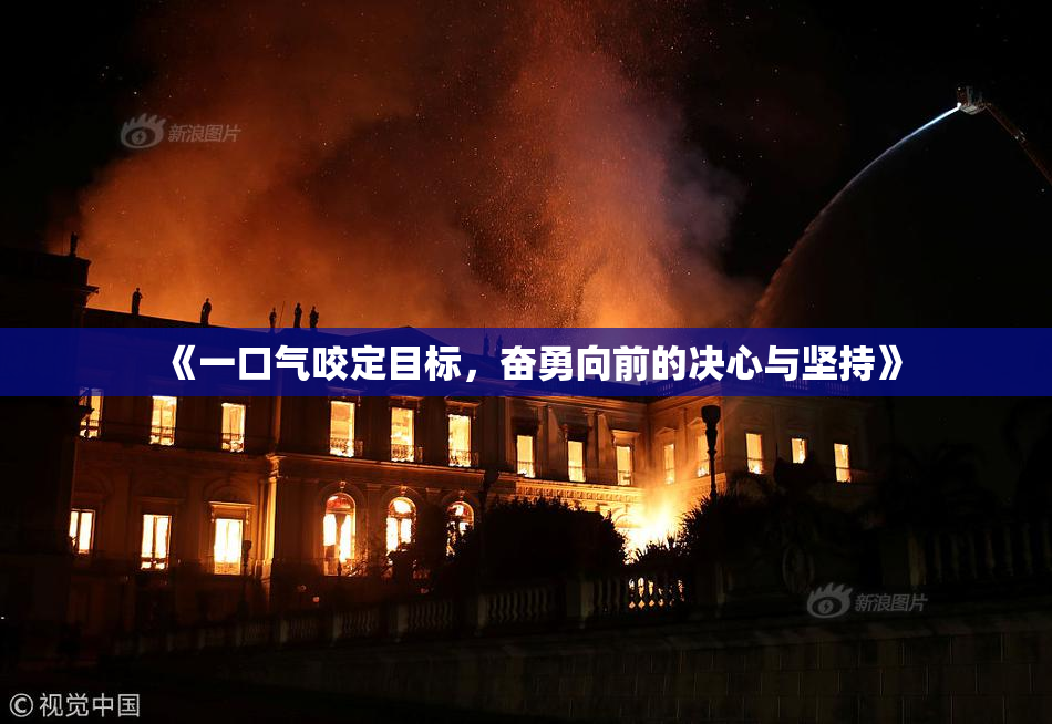 《一口气咬定目标，奋勇向前的决心与坚持》