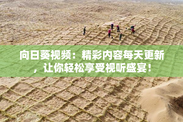 向日葵视频：精彩内容每天更新，让你轻松享受视听盛宴！
