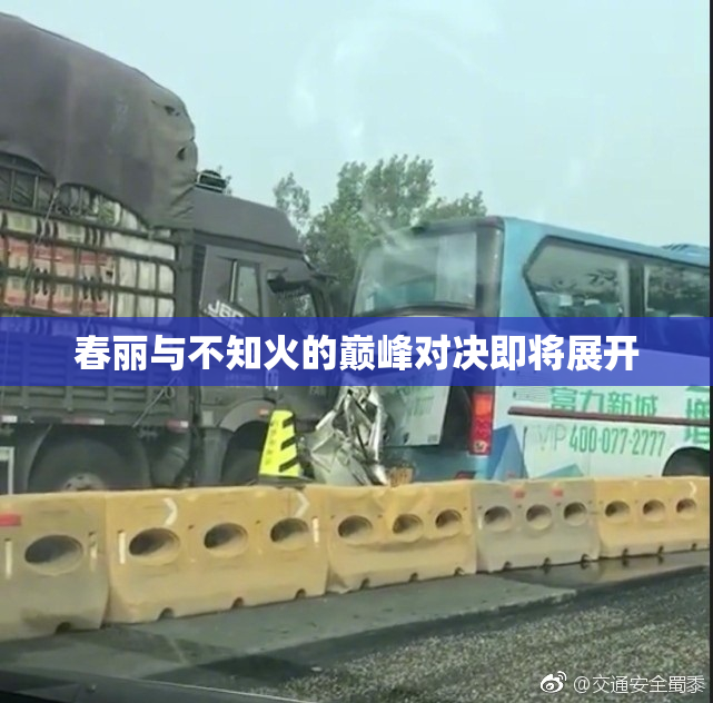 春丽与不知火的巅峰对决即将展开