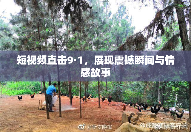 短视频直击9·1，展现震撼瞬间与情感故事
