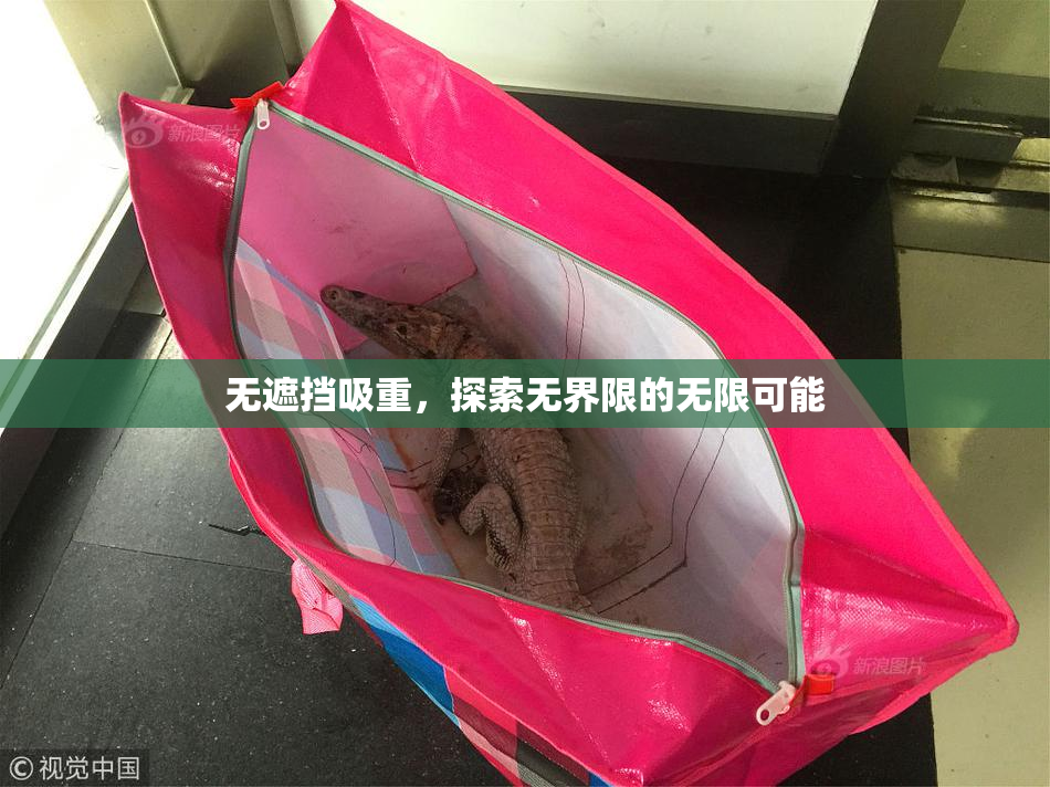 无遮挡吸重，探索无界限的无限可能