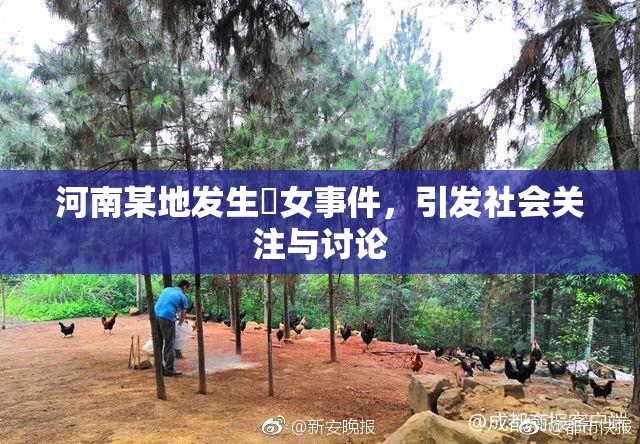 河南某地发生婬女事件，引发社会关注与讨论